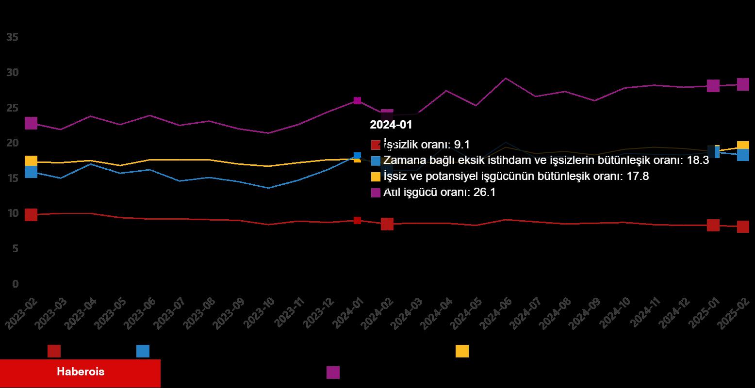 İşgücü İstatistikleri, Şubat 2025