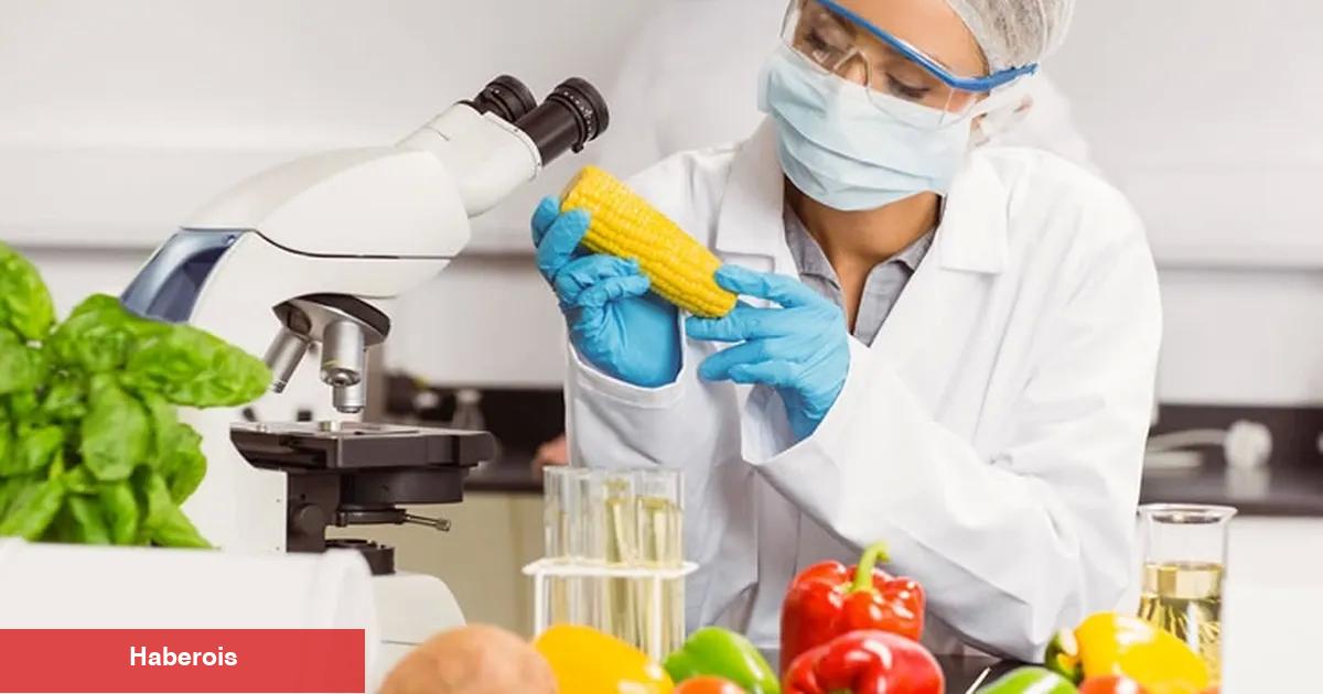Mikotoksin analizlerinde AB uyumlu yeni kriterler netleşti