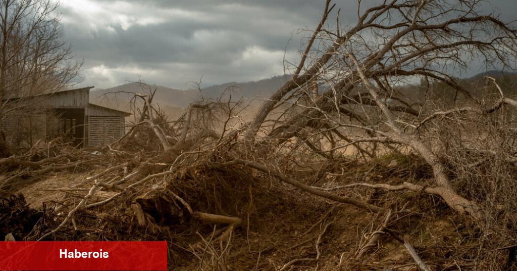 Musk FEMA'yı hedefledi. Fırtınalı topluluklar bir bedel ödüyor.