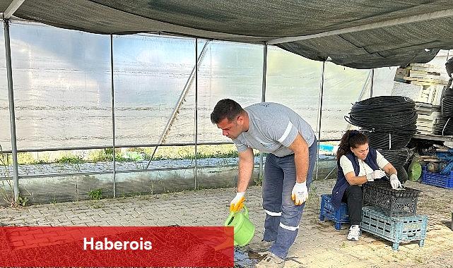 Seferihisar Belediyesi Tohum Takas Şenliği'ne hazırlanıyor - Haberois Seferihisar Belediyesi Tohum Takas Şenliği'ne hazırlanıyor