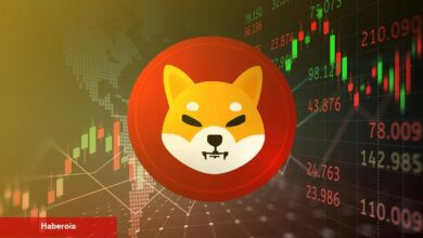 Shiba Inu Fiyatında Büyük Sıçrama Beklentisi: Uzmanlar %415 Yükseliş Öngörüyor!