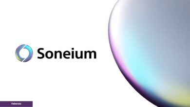 Soneium Blockchain ile Anime Kimlik Çağı Başlıyor!
