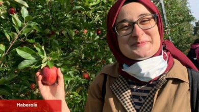Tufts öğrencisinin sınır dışı edilme için hedeflenmesi arkadaş ve öğretmenleri sersemletir