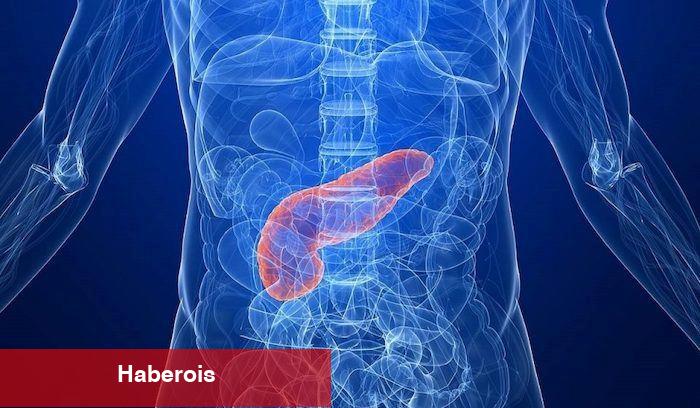 Ünlü doktor pankreas kanseri riskini artıran besinleri açıkladı: DNA hasarına neden oluyor