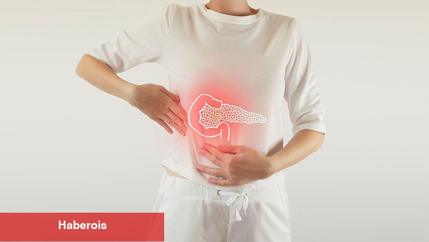 Ünlü doktor pankreas kanseri riskini artıran besinleri açıkladı: DNA hasarına neden oluyor