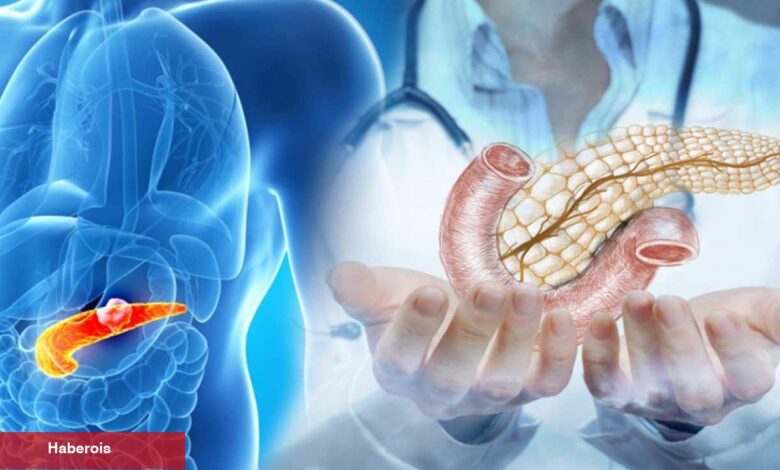 Ünlü doktor pankreas kanseri riskini artıran besinleri açıkladı: DNA hasarına neden oluyor - Haberois Ünlü doktor pankreas kanseri riskini artıran besinleri açıkladı: DNA hasarına neden oluyor