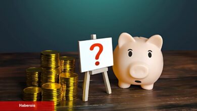 Uzman Analist: Bu Tanınan Göğüs Coin Ansızın 1 Dolar Olabilir!