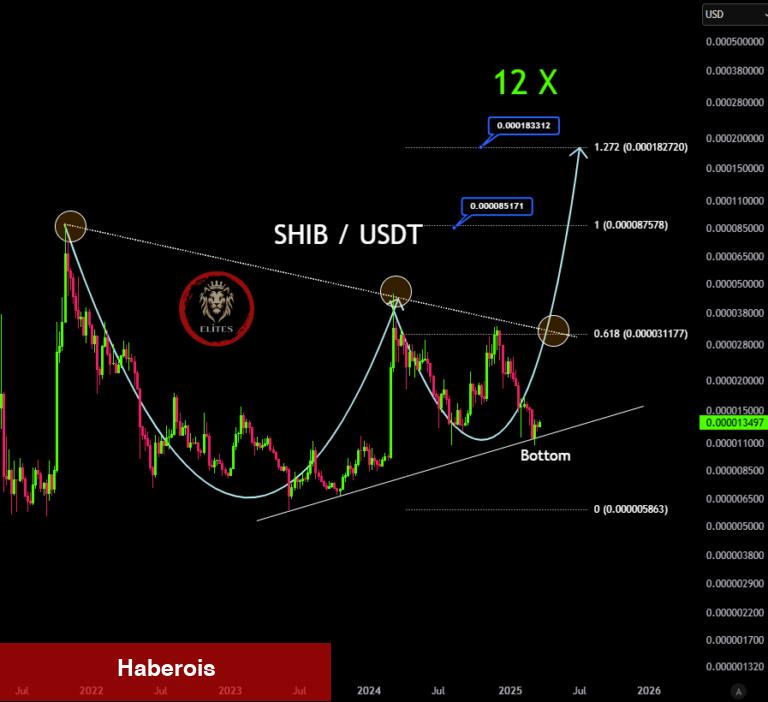 Uzman Analist Bu Tanınan Göğüs Coin İçin 12x Ralli Bekliyor!