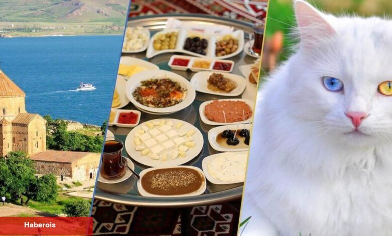 Van'dan eşsiz lezzetler: 4 yemek daha tescillendi - Haberois Van'dan eşsiz lezzetler: 4 yemek daha tescillendi