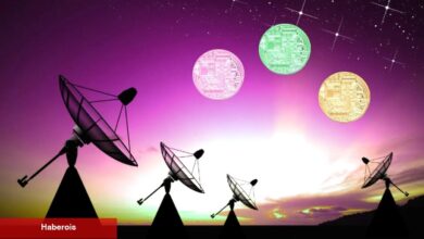 Yatırımcılar Bu 3 Altcoin’i Çok Arıyor: İkisi için Beklentiler Yüksek!