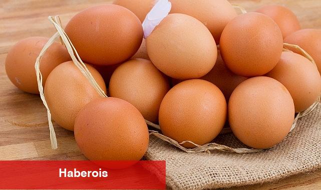 Yumurtaya getirilen 1,5 dolar fon aceleyle alınmış ihracatı durduracak bir karar - Haberois Yumurtaya getirilen 1,5 dolar fon aceleyle alınmış ihracatı durduracak bir karar
