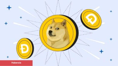100 Milyon Kişi Her Gün Dogecoin Kullanırsa Fiyat Ne Olur?