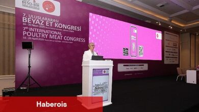 7. UBEK'in ana teması: Verimli ve etkin üretim.