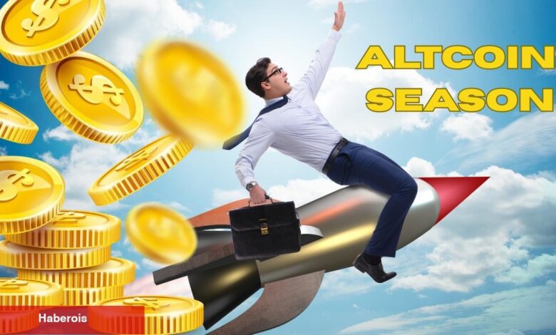 Altcoin Boğası Öncesi, Bu Göğüs Coin Hareketli! - Haberois Altcoin Boğası Öncesi, Bu Göğüs Coin Hareketli!