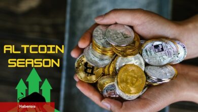 Altcoin Dönemi Yaklaşıyor, Uzmanlar Bu Tarihte Başlıyor Dedi!