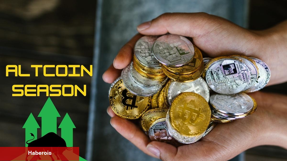 Altcoin Dönemi Yaklaşıyor, Uzmanlar Bu Tarihte Başlıyor Dedi!