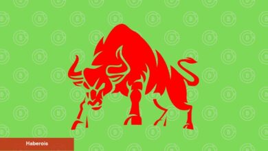 Analist: Boğa Dönemi Bu Tanınan Memecoin ile Başlayacak!