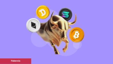 Analistler Tezli Konuştu: Altcoin Boğa Koşusu Çok Yakın!