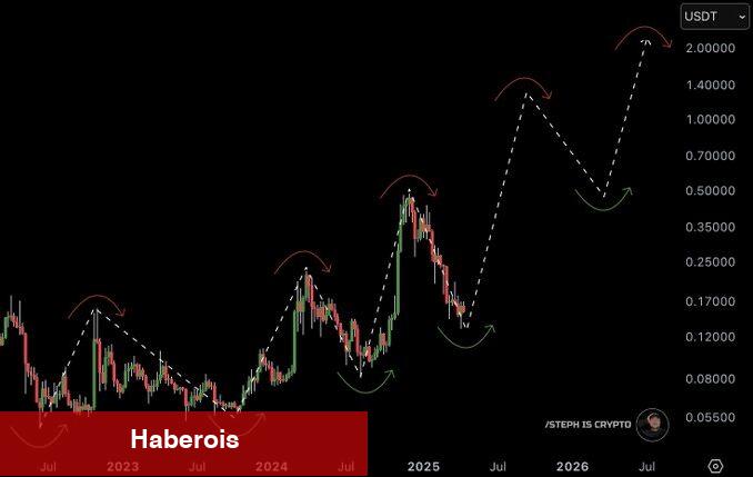 Analistlerden Bu 2 Altcoin İçin Yüzde 1000 Yükseliş Tahmini!