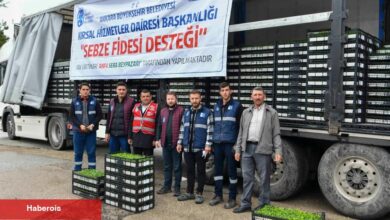 Ankara'da 1 milyonun üzerinde erkenci zerzevat fidesi dağıtıldı
