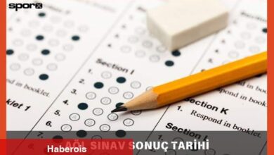 AÖL imtihan sonuçları ne vakit açıklanacak? 2025 | MEB AÖL imtihan sonuçları ne vakit açıklanacak, açıklandı mı, nasıl öğrenilir? Açık Lise 2. periyot imtihan sonuçları erken açıklanır mı?