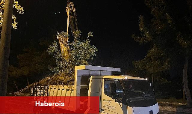 Aydın Büyükşehir Belediyesi'nden Şiddetli Yağış ve Fırtınaya Karşı Hızlı Müdahale - Haberois Aydın Büyükşehir Belediyesi'nden Şiddetli Yağış ve Fırtınaya Karşı Hızlı Müdahale