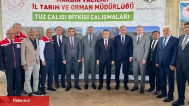 Bakan Yumaklı'dan Mardin çıkarması