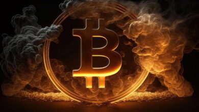 Bitcoin 100 Bin Dolara mı Hazırlanıyor? Balinalar 3 Kat Fazla BTC Topluyor, Büyük Ralli Kapıda Olabilir!