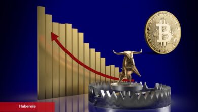 Bitcoin ETF’lerine 3 Günlük Giriş Serisi! Akıllı Para mı, Boğa Tuzağı mı?