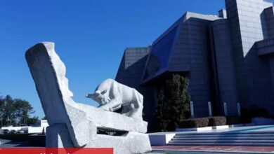 Borsa Istanbul’da bugün en çok hangi hisseler kazandırdı?