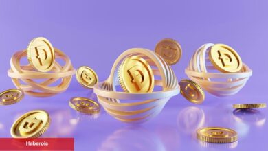 Bu Göğüs Coin, Mayıs Ayında Uçuşa Geçecek!