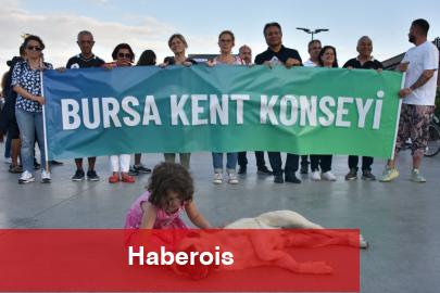 Bursa Kent Kurulu'ndan Gemlik'teki yavru kedi vahşetine kınama!