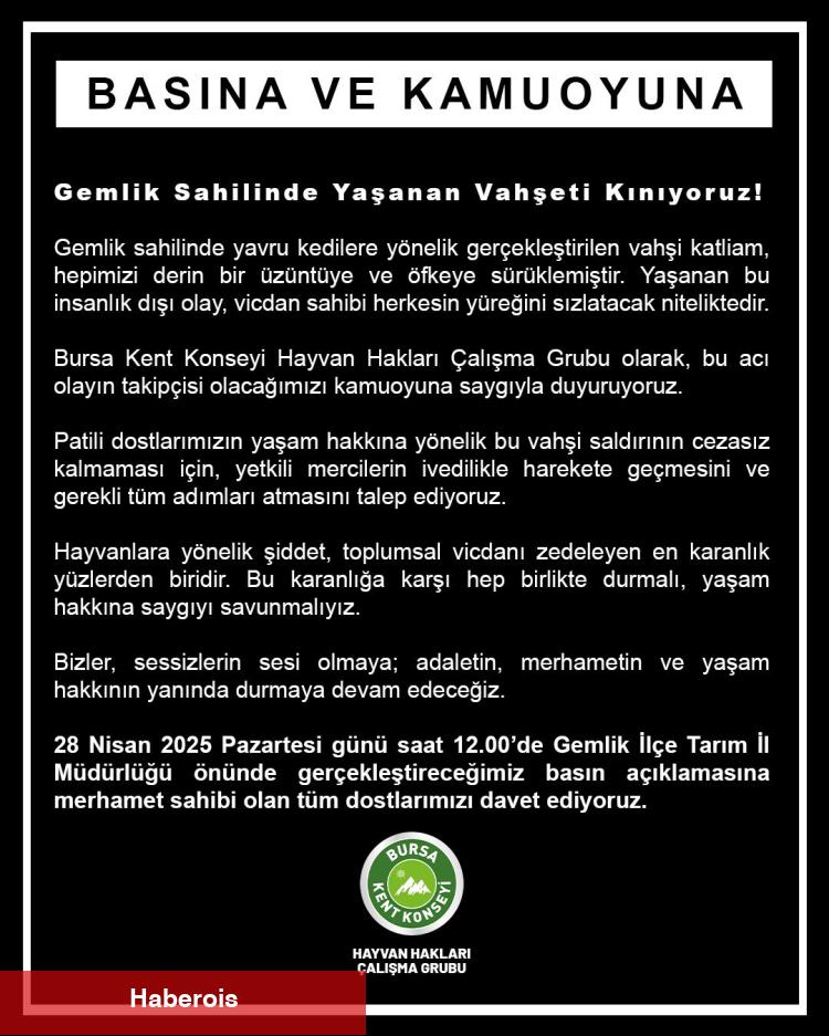 Bursa Kent Kurulu'ndan Gemlik'teki yavru kedi vahşetine kınama!
