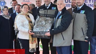 Bursa'dan çiftçiye 1,2 milyon adet çilek fidesi