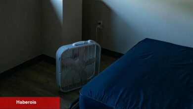 Bütün gün çalışıyorlar ve barınaklara eve gidiyorlar