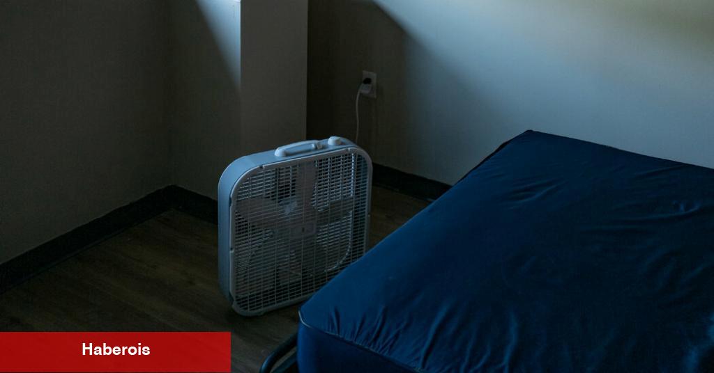 Bütün gün çalışıyorlar ve barınaklara eve gidiyorlar