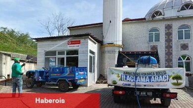 Canik'te Kokarca Böceğiyle Mücadeleye Tam Not
