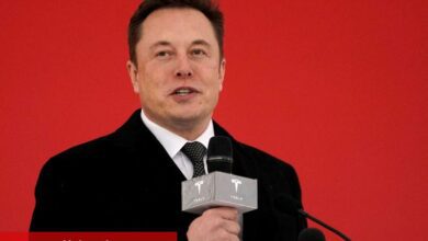 Dan Ives, Tesla için kırmızı alarm veriyor