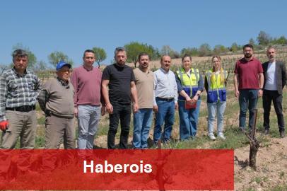 Denizli Büyükşehir üreticileri yalnız bırakmıyor