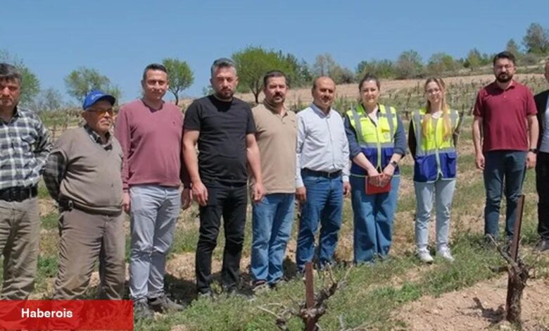 Denizli Büyükşehir üreticileri yalnız bırakmıyor - Haberois Denizli Büyükşehir üreticileri yalnız bırakmıyor