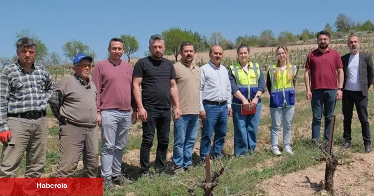Denizli Büyükşehir üreticileri yalnız bırakmıyor