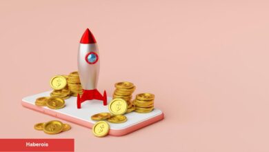 Dikkat: BTC 100.000 Doları Geçerse Bu Göğüs Coin Varlıklı Eder!