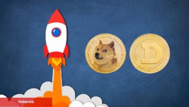 Dogecoin 1 Dolara: Uzmanlar Boğa Koşusu Başladı Diyor!