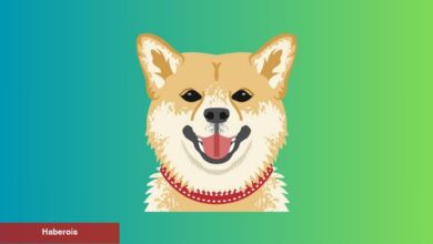 Dogecoin Analistleri Yüzde 270’lik Bir Ralli Bekliyor!