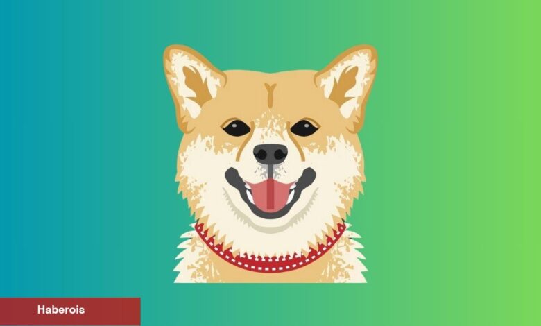 Dogecoin Analistleri Yüzde 270’lik Bir Ralli Bekliyor! - Haberois Dogecoin Analistleri Yüzde 270’lik Bir Ralli Bekliyor!