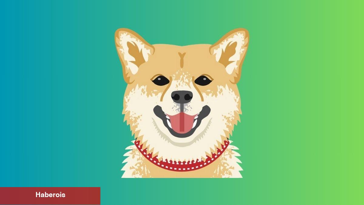 Dogecoin Analistleri Yüzde 270’lik Bir Ralli Bekliyor!