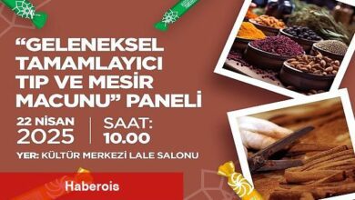 'Dolu Dolu Festival' Başlıyor
