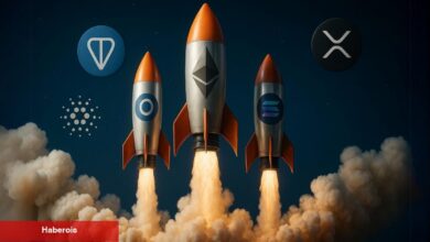 Düzenlemelerin Güzelleşmesiyle Altcoin Rallisi Ufukta!