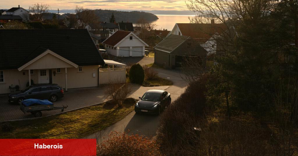 Elon Musk Backlash, Tesla için küresel satış düşüşüne dönüşüyor