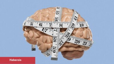 Elon Musk'ın IQ'si nedir?